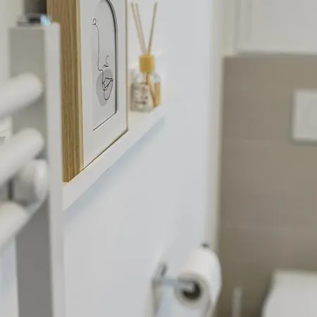 Moderne Zwei Altbauwohnung Im Stadtkern