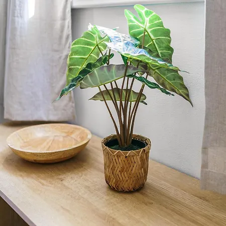 Apartament Ideal Fuer Geschaeftsreisende Und Wochenendgaeste