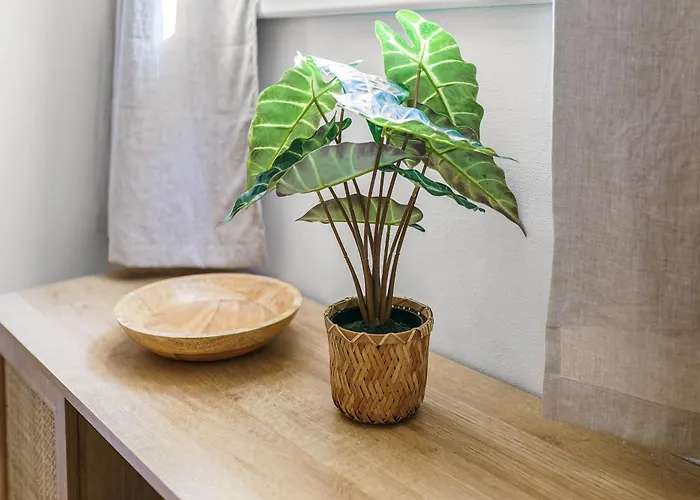 Apartment Ideal Fuer Geschaeftsreisende Und Wochenendgaeste